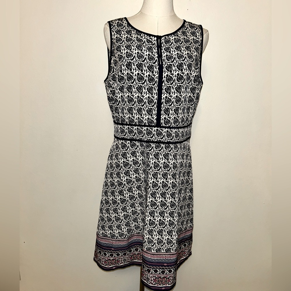 🔹The Limited Super Cute Dress🔹